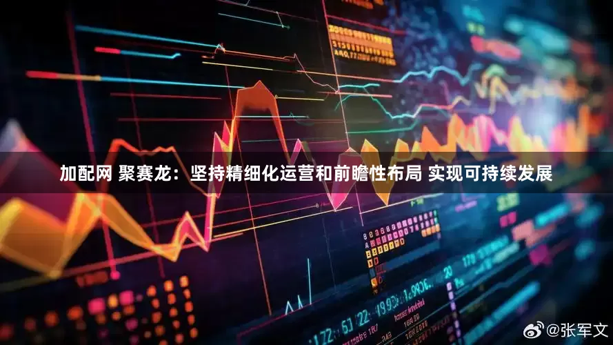 加配网 聚赛龙：坚持精细化运营和前瞻性布局 实现可持续发展