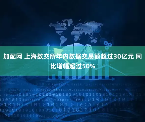 加配网 上海数交所年内数据交易额超过30亿元 同比增幅超过50%