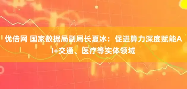 优倍网 国家数据局副局长夏冰：促进算力深度赋能AI+交通、医疗等实体领域